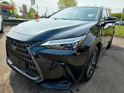 Schwarz Gebraucht 2023 Lexus NX350h SUV | 39.995 € (Superpreis)