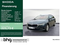 Grau Gebraucht 2021 Skoda Octavia Ambition Kombi | 18.660 € (Guter Preis)