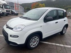 Gebraucht 2023 Fiat Panda Kleinwagen | 10.591 € (Guter Preis)