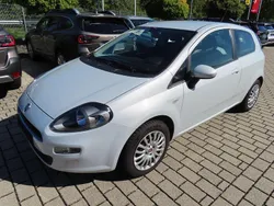 Grau Gebraucht 2012 Fiat Punto More Kleinwagen | 3.290 € (Fairer Preis)