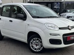 Colore esterno (weiss) Gebraucht 2019 Fiat Panda Kleinwagen | 9.199 € (Fairer Preis)
