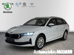 Weiss Neu 2025 Skoda Octavia Selection Kombi | 34.790 € (Etwas zu teuer)