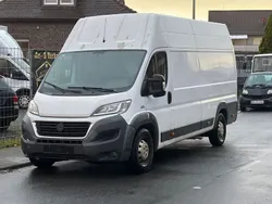 Weiß Gebraucht 2016 Fiat Ducato Van | 6.950 €
