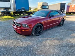 Rot Gebraucht 2005 Ford Mustang GT | 16.500 € (Teuer)
