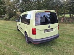 Grün Gebraucht 2019 VW Caddy Maxi Van / Kleinbus | 12.950 € (Guter Preis)