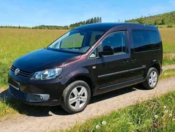 Violet Gebraucht 2012 VW Caddy Van / Kleinbus | 8.990 € (Fairer Preis)