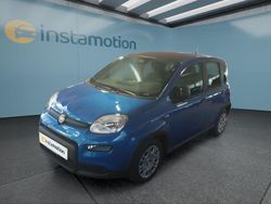 Blau Gebraucht 2024 Fiat Panda Kleinwagen | 14.149 € (Etwas zu teuer)