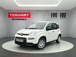 Weiss) (weiss Gebraucht 2024 Fiat Panda Kleinwagen | 15.487 € (Fairer Preis)