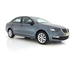 Grau Gebraucht 2018 Skoda Octavia Business Line Limousine | 10.845 € (Fairer Preis)