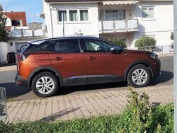 Braun Gebraucht 2020 Peugeot 3008 Crossway SUV | 17.190 € (Superpreis)