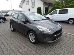 Grau Gebraucht 2019 Ford Fiesta Trend Kleinwagen | 8.790 € (Guter Preis)