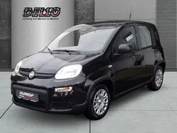 Colore esterno (cinema schwarz Neu 2024 Fiat Panda Cross Cross Kleinwagen | 13.980 €