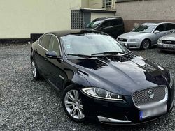 Weiß Gebraucht 2012 Jaguar XF Luxury Limousine | 7.900 € (Fairer Preis)