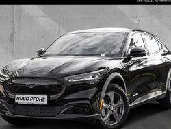 Schwarz Gebraucht 2024 Ford Mustang Mach-E Standard Range SUV | 35.410 € (Guter Preis)