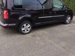 Violet Gebraucht 2019 VW Caddy Maxi Van / Kleinbus | 16.400 € (Guter Preis)