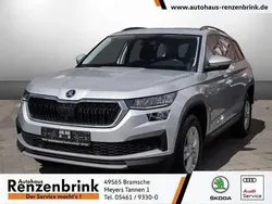 Silber Gebraucht 2022 Skoda Kodiaq Active SUV | 28.414 € (Guter Preis)