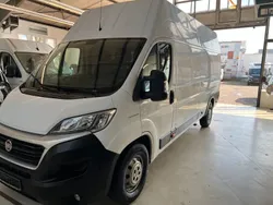 Weiß Gebraucht 2019 Fiat Ducato Van | 16.900 € (Fairer Preis)