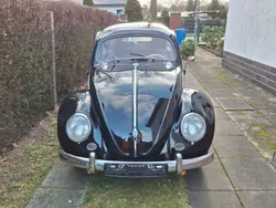Schwarz Gebraucht 1955 VW Käfer Limousine | 32.500 €