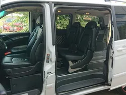 Mercedes Viano