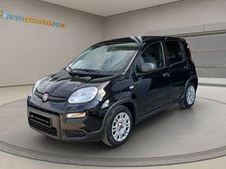 Schwarz Gebraucht 2023 Fiat Panda Kleinwagen | 11.490 € (Guter Preis)