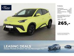 Lime green Neu 2026 BYD Dolphin Comfort Kleinwagen | 26.490 € (Fairer Preis)