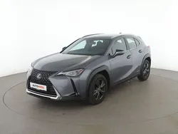 Grau Gebraucht 2019 Lexus UX 250h Launch Edition SUV | 17.490 €