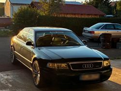 Grün Gebraucht 1997 Audi A8 Limousine | 6.000 €
