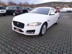 Weiß Gebraucht 2019 Jaguar XF Pure Limousine | 21.800 € (Etwas zu teuer)