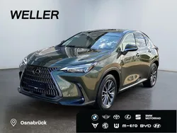 Gruen Gebraucht 2025 Lexus NX450h+ E-FOUR Executive Line SUV | 55.990 €