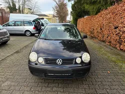 Schwarz Gebraucht 2003 VW Polo Kleinwagen | 450 € (Guter Preis)
