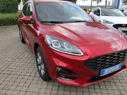 Rot Gebraucht 2024 Ford Kuga ST-Line X SUV | 36.950 € (Etwas zu teuer)