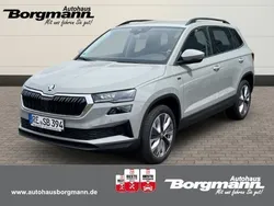 Grau Gebraucht 2025 Skoda Karoq Selection SUV | 34.990 € (Fairer Preis)