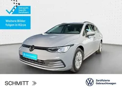 Mondsteingrau Gebraucht 2024 VW Golf VIII Life Kombi | 25.999 € (Fairer Preis)