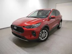 Lucidrot metallic Gebraucht 2024 Ford Kuga Titanium SUV | 27.940 € (Guter Preis)