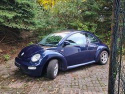 Blau Gebraucht 2000 VW Beetle Limousine | 2.400 € (Fairer Preis)