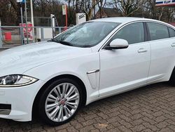 Weiß Gebraucht 2015 Jaguar XF Limousine | 12.500 € (Fairer Preis)