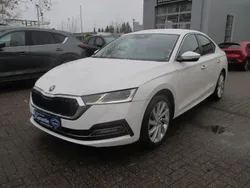 Weiß Gebraucht 2023 Skoda Octavia Style Limousine | 21.900 € (Guter Preis)