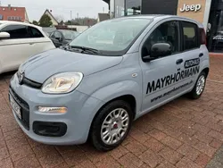 Grau Gebraucht 2022 Fiat Panda Kleinwagen | 10.780 € (Fairer Preis)