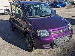 Violet Gebraucht 2011 Fiat Panda 4x4 Kleinwagen | 4.999 € (Fairer Preis)