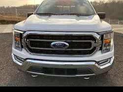 Weiß Gebraucht 2021 Ford F-150 Abholung | 48.272 €