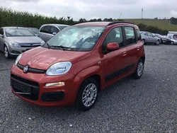 Rot Gebraucht 2012 Fiat Panda Easy Kleinwagen | 3.950 € (Guter Preis)