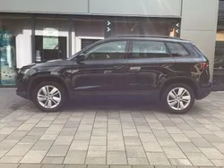 Blackmagic perleffekt Gebraucht 2024 Skoda Karoq Selection SUV | 31.950 € (Fairer Preis)