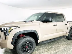 Braun Gebraucht 2025 Toyota Tundra Abholung | 95.900 €