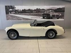 Weiß Gebraucht 1965 Austin Healey 3000 MK III Cabrio | 57.900 €