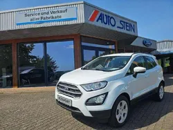 Frostweiß Gebraucht 2019 Ford Ecosport Cool & Connect SUV | 11.900 € (Guter Preis)