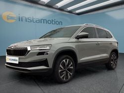 Grau Neu 2025 Skoda Karoq SUV | 37.399 € (Etwas zu teuer)