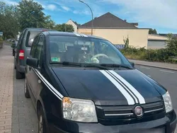 Blau Gebraucht 2010 Fiat Panda Kleinwagen | 2.400 € (Fairer Preis)