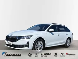 Othercolor Gebraucht 2024 Skoda Octavia Selection Kombi | 30.089 € (Guter Preis)