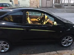 Schwarz Gebraucht 2010 Ford Ka Titanium Kleinwagen | 2.299 € (Fairer Preis)