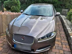 Braun Gebraucht 2015 Jaguar XF Limousine | 13.999 € (Fairer Preis)